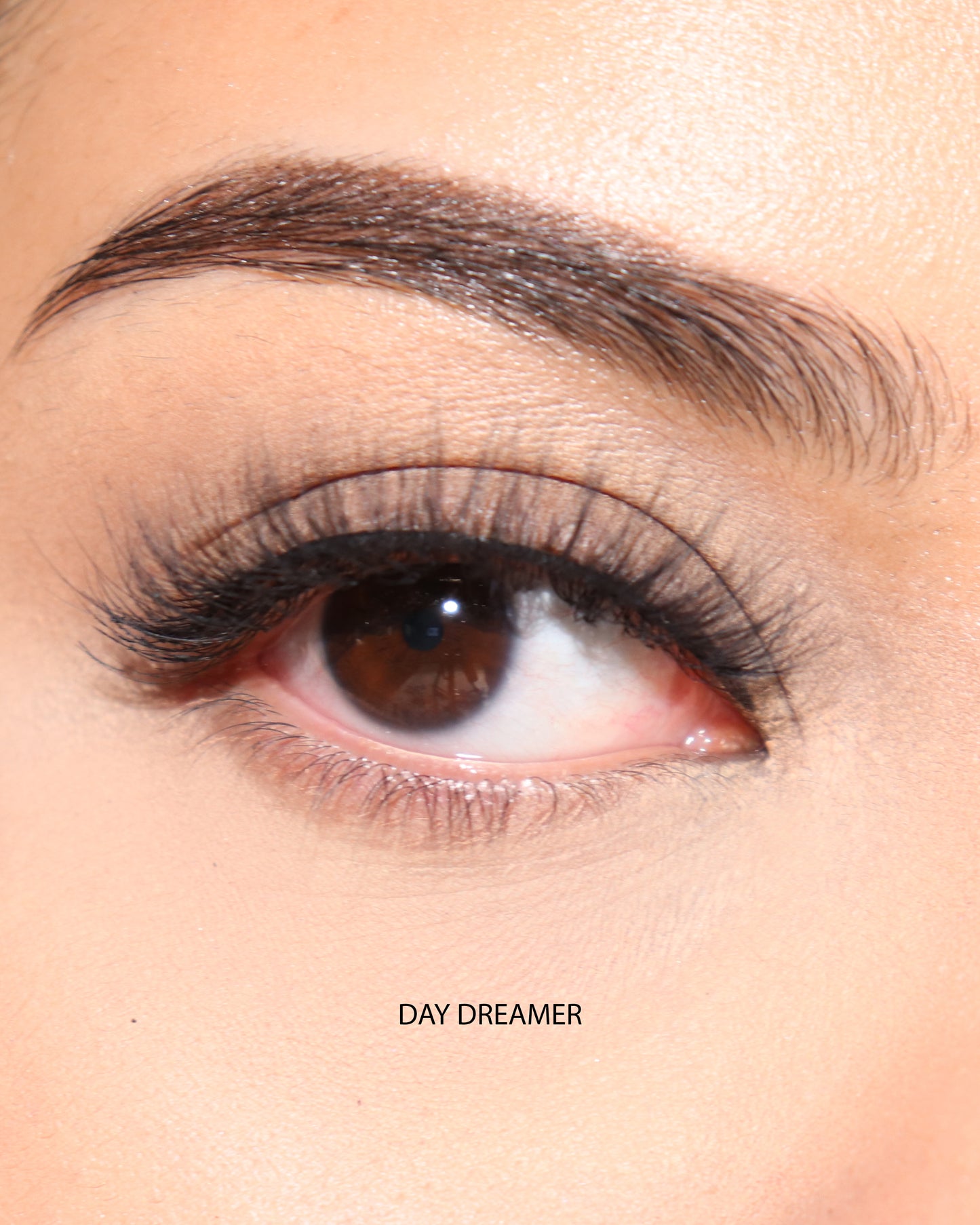 Day Dreamer