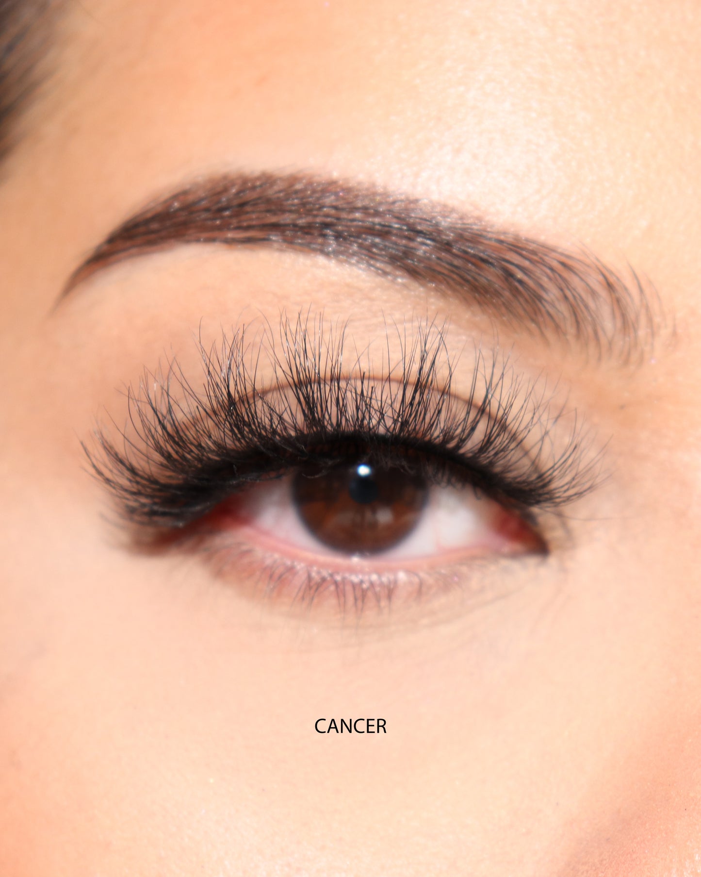 Deluxe Faux Eyelashes Bundle