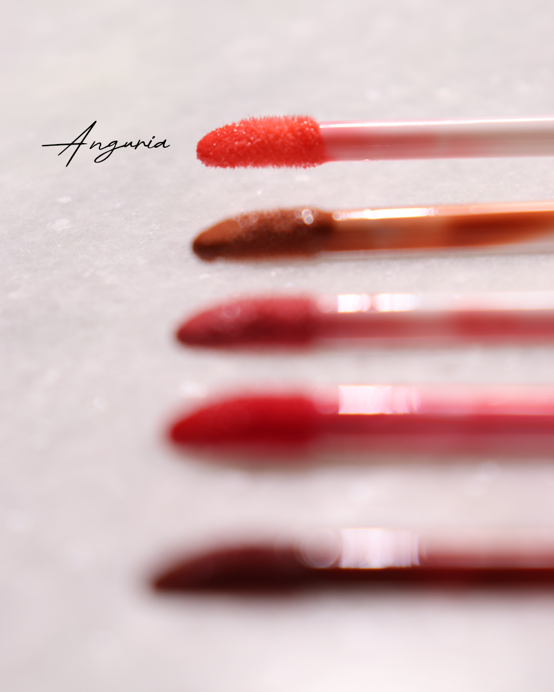 Luxe Gloss Bundle